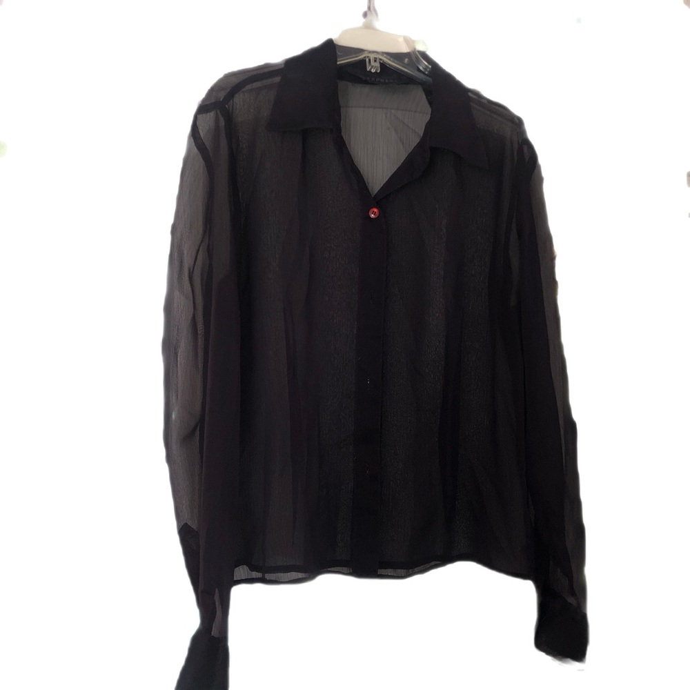 Express Sheer Button Down Blouse